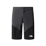 THE NORTH FACE Felik Slim Tapered Shorts Monument Grey/TNF Black 34