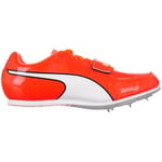 Chaussures Puma  Evospeed Long Jump 4