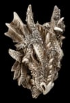 Wall Relief Forest Land - Dragon | Fantasy Decorations Gothic Wall Hanging 22Cm