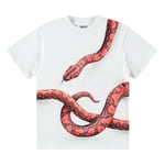 Molo Rubin Short Sleeve T-Shirt Red Snake | Vit | 116 cm