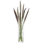 LSA International G1645-20-148 Wicker Vase Transparent 20 cm, Verre