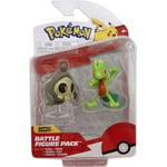 Coffret 2 Figurines Pokemon Arcko et Skelenox Figurine De Combat Vert et Gris Set Jouet Garcon et 1 Carte Animaux