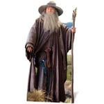 Figurine en carton Gandalf Le Gris Le Hobbit h 191 cm