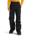 THE NORTH FACE Men's Freedom Insulated Pants, Tnf Black/Npf, XL