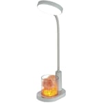 Lampe de Bureau Enfant, Lampe de Table avec Sel de l'Himalaya, Lampe de Chevet à Changement de Couleur Automatique, avec Porte-Stylo, Lampe de