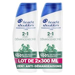 Head & Shoulders Anti-démangeaisons 2 en 1 Shampoing Antipelliculaire 2x300ml; Jusqu'à 100% des Pellicules Éliminées, Cliniquement Prouvé; Tous Types de Cheveux; Usage Quotidien; Rafraîchissant