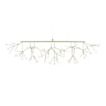 Moooi - Heracleum III, Linear Green - Takkronor