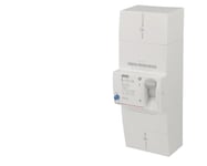 Legrand 401006 Disjoncteur de Branchement Enedis Bipolaire Différentiel, 500mA, Sélectif Intensité 60A