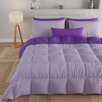 PETTI Artigiani Italiani - Couette Chaude Hiver 260x270 Bicolore LilasViolet, Couette Double Face, Couette pour lit 2 Personnes, Couette en Microfibre 300g/m², Made in Italy