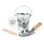 Me To You Father's Day Plant Pot Gift Set with Trowel and Wildflower Seed Paper, Multicolor (FGZ01023)