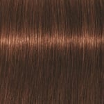 Schwarzkopf Professional Igora Vibrance Kit 5-7 Light Brown Copper