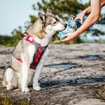 Vattenflaska Hund Kurgo Blå 750ml