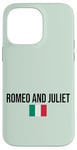 iPhone 14 Pro Max Romeo and Juliet Love Illustration Novelty Graphic Designs Case