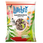 Lillebro Solsikkefrø - 3 x 1 kg