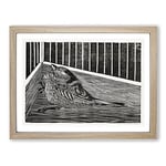 Bird In The Cage By Samuel De Mesquita Classic Painting Framed Wall Art Print, Ready to Hang Picture for Living Room Bedroom Home Office Décor, Oak A4 (34 x 25 cm)