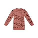 Koko Noko Sweatshirt Dress Nathalie dusty rosa