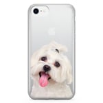 iPhone 7 Fashion Skal - Bichon Frisé