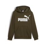 Puma Boys Essentials Big Logo Hoodie - Green - Size 4-5Y