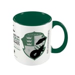 Harry Potter Slytherin House Pride Mug (One Size) (Green/White)