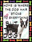 Shawprint Boston Terrier Dog Fridge Magnet 100mm x 75mm HOME IS WHERE THE DOG HAIR STICKS TO EVERYTHING BUT THE DOG Novelty Gift