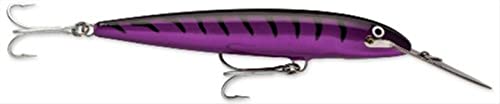 Rapala Purple Mackerel Countdown Magnum-Matériel Corps en Abachi-Leurre Pêche en Mer-Profondeur de Nage 4.5-5.4m-Taille 14cm / 36g-Fabriqué en Estonie Adulte Unisexe, 14 cm / 36 g