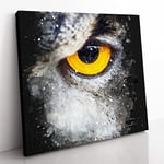 Eye of an Owl Paint Splash Modern Canvas Wall Art Print Ready to Hang, Framed Picture for Living Room Bedroom Home Office Décor, 35x35 cm (14x14 Inch)