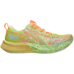 Chaussures Asics  Noosa Tri 16 Bunt