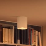 Philips Hue Pillar LED-spotti, himmennin