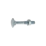 Ultima Visser Fixer Coller - Boulon pour bois à tête ronde collet carré Japy classe 4.8 din 603/555 5X40 boîte de 200 - ultima - 80405040