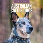 Australian Cattle Dogs 2025 Square Wall Calendar