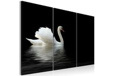 Taulu A lonely white swan 90x60 - Artgeist sp. z o. o.