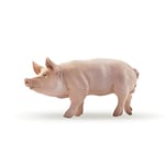 Papo - Figurines A Collectionner - Cochon - Animaux De La Ferme - Pour Enfants - Filles Et Garçons - A Partir De 3 Ans