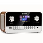 Auna Radio Portable Bluetooth et Rechargeable, Poste Radio Numérique Dab/Dab+/FM et Streaming, Radio Portables Stéréo 15W, Écran TFT, 5h d'Autonomie, Radio FM, Alarme de Réveil, Alimentée au Secteur