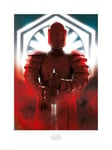 STAR WARS: The Last Jedi (Elite Guard Defend 60 x 80cm Art Print