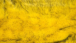 Super Luxury Faux Fur Fabric Material - Long Sky Yellow, 1Mtr - 150cm x 100cm