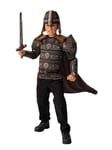 Bristol Novelty 3015515-6 Déguisement de Viking pour enfant, garçon, multicolore, 5-6 ans Halloween