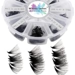 Volume Russes Cils C Curl 500 Fans 20D 0.07mm 9-16mm Mixed Préfaits Extensions de Cils Volume Russe Bouquet Prefait Cils Pré-ventilées Professionnel Premade Volume Cils Extensions(500-20D-0.07-C-916)