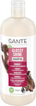 SANTE Naturkosmetik Glossy Shine Shampooing à l'extrait de Feuille de Bouleau Bio + Complexe de protéines Triple épaisseur, Soin végétalien et hydratant pour Plus de Brillance et de Douceur, avec