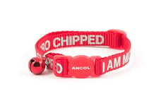 Ancol Collier pour Chat « I Am Microchipped» avec Boucle de sécurité, Rouge