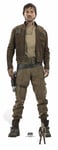 Cpt Cassian Andor (Diego Luna) Rogue One: A Star Wars Story Cardboard Cutout