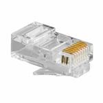 Connecteur RJ45 Catégorie 5 UTP GEMBIRD PLUG3UP6/100 Noir Transparent 100 uds