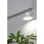 LED Vekstlampe GU10 6W/4000K 400 lm