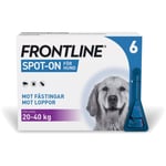 Frontline vet. spot-on, lösning 100 mg/ml, 6 x 2,68 ml