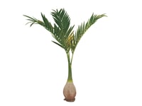 EUROPALMS Phoenix palm, artificial plant, 240cm, Konstgjord palm Phoenix 240cm