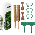 2 pièces Tuteur Plante Tuteur Coco, 30cmPlante Poteau Bâton De Coco,Totem Poteau Totem en Fibre de Coco pour Plantes Grimpantes et Plantes d'intérieur