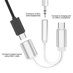 USB C till 1x usb C hona och 1x3.5mm AUX Silver