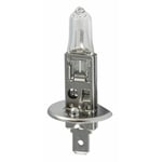 Ampoule Osram 12V 55W H1 (P14,5S)