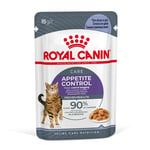 Royal Canin Appetite Control Care hyytelössä - 12 x 85 g