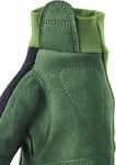 Hestra Apex Long 5-finger Längdskidhandskar Olive, 8