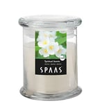 SPAAS Bougie parfumée en bocal de ménage, ± 60 heures - Spiritual Jasmin